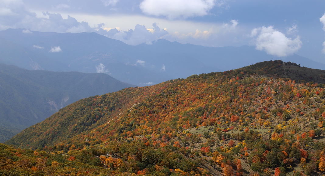 جنگل های هیرکانی جنگل های هیرکانی