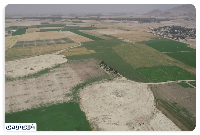 دشت تل باکون