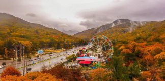 پاییز شمال کجا برویم؟ | محبوب ترین جاذبه ها