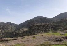 مخمل کوه لرستان | سفری به قلب طبیعت مینیاتوری ایران مخمل کوه لرستان