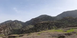 مخمل کوه لرستان