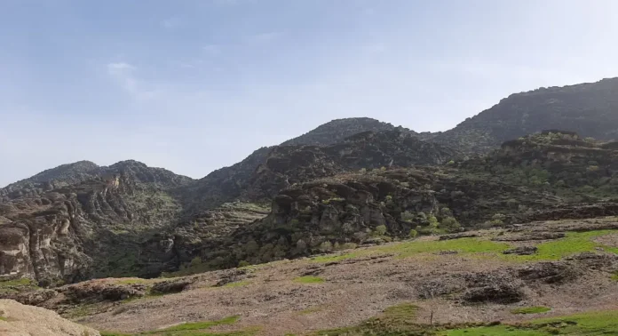 مخمل کوه لرستان