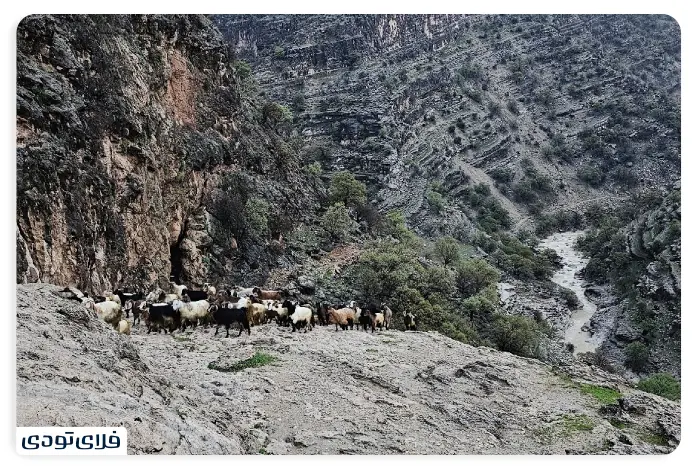 آبشار کمردوغ آبشار کمر دوغ کجاست؟