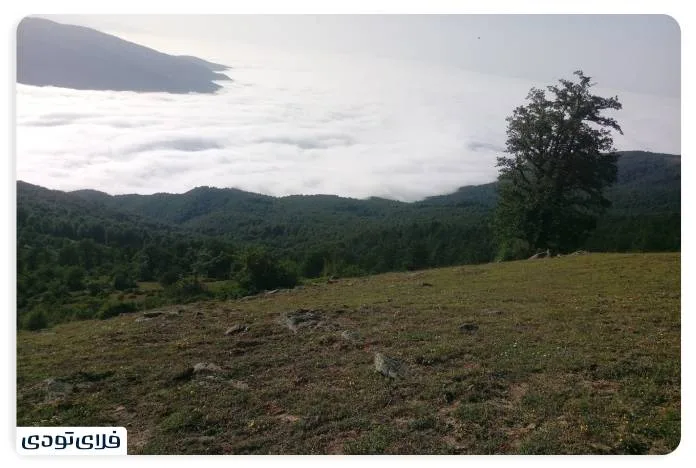 بهترین زمان دیدن دریای ابر مازیچال