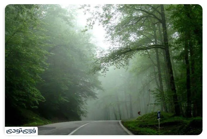 جاده و جنگل های عباس‌آباد