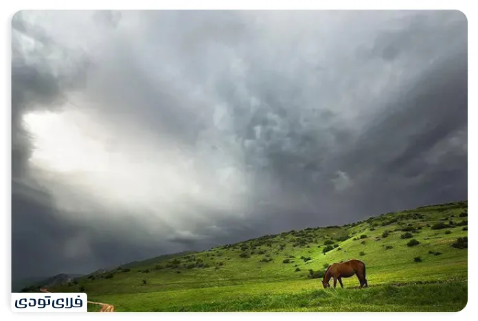روستای جهان نما پوشش گیاهی و جانوری منطقه جهاننما