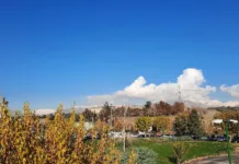 پارک پردیسان تهران | مقصدی برای ورزش و تفریح خانوادگی