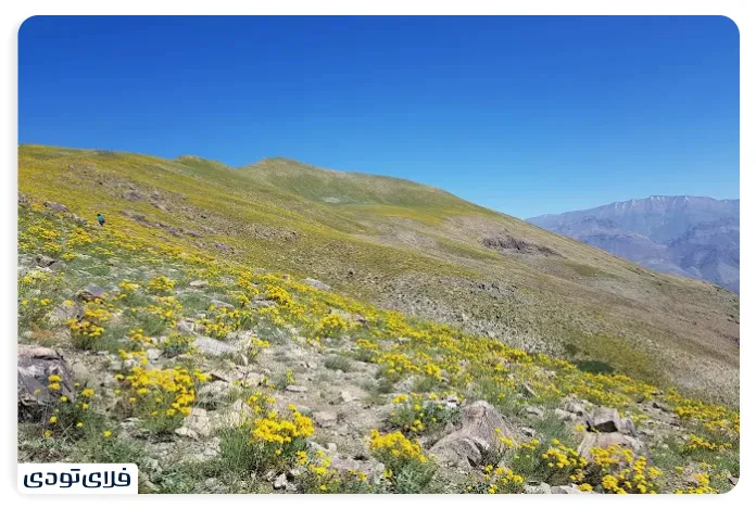 دارآباد تهران کوه داراباد تهران