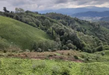 جاهای دیدنی شمال | راهنمای ۷۵ مقصد جذاب از گیلان تا گلستان شمال کجا بریم و کدام یک از جاهای دیدنی شمال را ببینیم؟