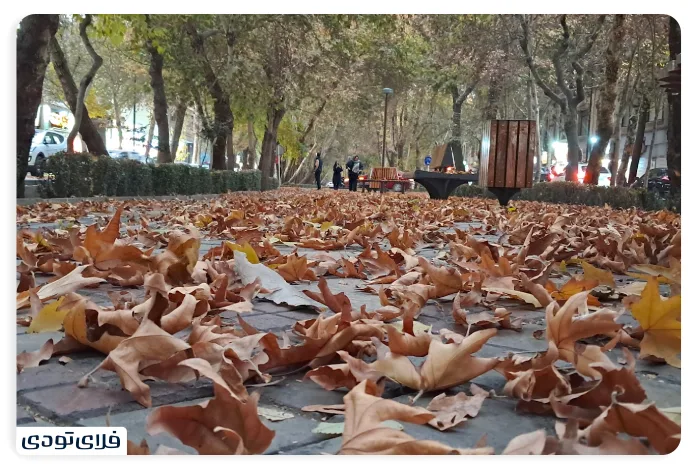 قبل از رفتن به چهارباغ این نکات را بدانید