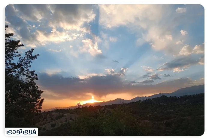پارک جنگلی لویزان در شب