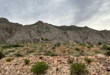 پارک کوهستانی دراک شیراز؛ از تفریحات هیجانی تا تماشای شهر