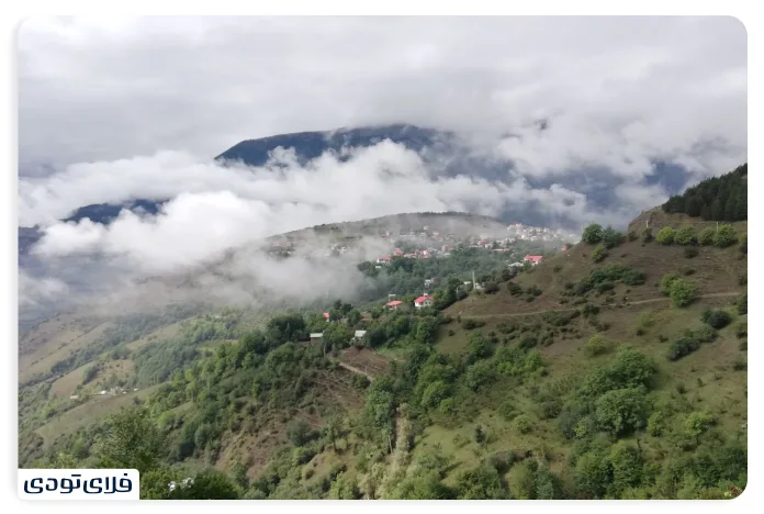 جنگل دالخانی