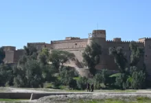 کاخ آپادانا شوش