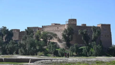 کاخ آپادانا شوش
